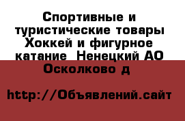 Спортивные и туристические товары Хоккей и фигурное катание. Ненецкий АО,Осколково д.